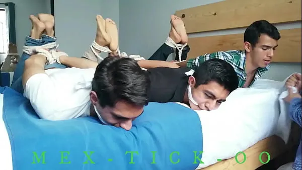 Show THREE BOYS IN HOGTIED new Movies